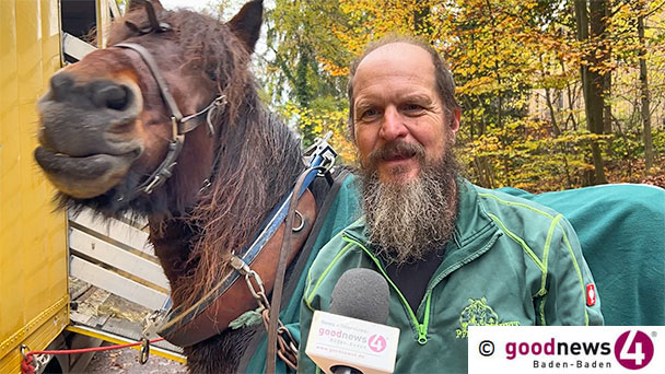 Der Pferdeflüsterer im Baden-Badener Stadtwald – Sven Fiedler: „Wenn die Pferde mit einem sprechen“ Der Pferdeflüsterer im Baden-Badener Stadtwald – Sven Fiedler: „Wenn die Pferde mit einem sprechen“