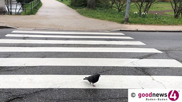 Noch eine Baden-Badener Brücke wird saniert – Vorbereitende Maßnahmen für Baubeginn Schillerbrücke Noch eine Baden-Badener Brücke wird saniert – Vorbereitende Maßnahmen für Baubeginn Schillerbrücke