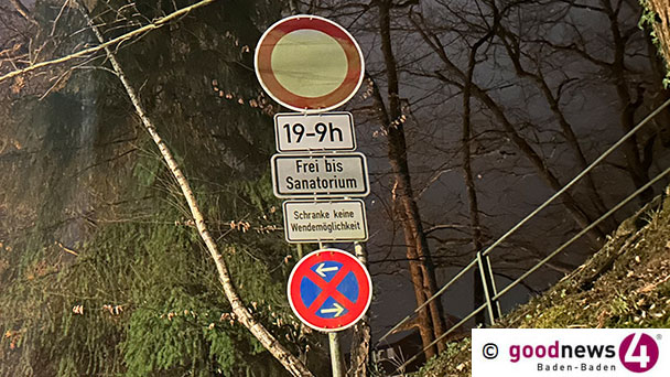 Gefährliches Leben für die Frösche in Baden-Baden – Schranken funktionierten wieder nicht – „In der Solmsstraße zahlreiche Amphibien überfahren“