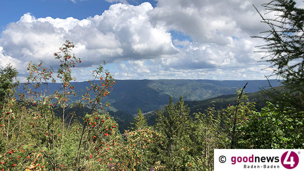 Warum nicht mal mit dem Schwarzwaldverein einen Tagesausflug machen – Abfahrt am Baden-Badener Leopoldsplatz