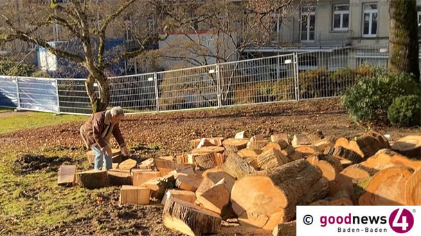 Verbitterung nach Vernichtung des Sophienparks – „Wo sind nun die Spechte, Eichelhäher, Rotkehlchen und Eichhörnchen geblieben?“ – Rathaus Baden-Baden erklärt sich zur Baumfällaktion