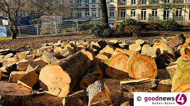 Schlachtfeld vernichteter Bäume in Baden-Baden – Sophienpark dem Erdboden gleichgemacht – Aggressiver Hotel-Chef verweigert Auskünfte