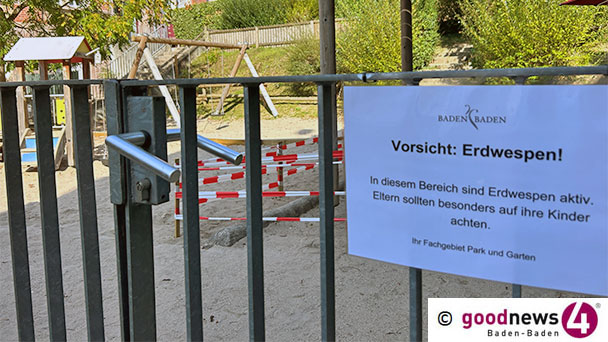 Rathaus Baden-Baden warnt Eltern – Erdwespen auf Kinderspielplatz in der Stephanienstraße