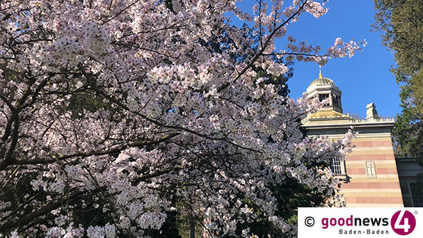 Geheimtipp für das schöne Baden-Baden – Botanische Führung am 4. Mai