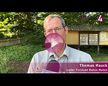 Auch der Wald soll helfen Baden-Baden zu retten | Thomas Hauck: 