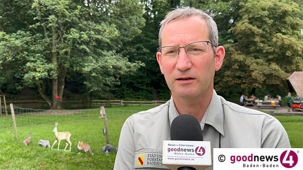 Kampf gegen die „Phytolacca americana“ im Baden-Badener Stadtwald – Forstamtschef Thomas Hauck: „Weil sie einfach nicht in dieses Ökosystem reingehören, auch keine Gegenspieler haben“