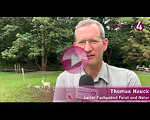 Forstamtschef Thomas Hauck über Waldbrandgefahr, Dürre und „Phytolacca americana“