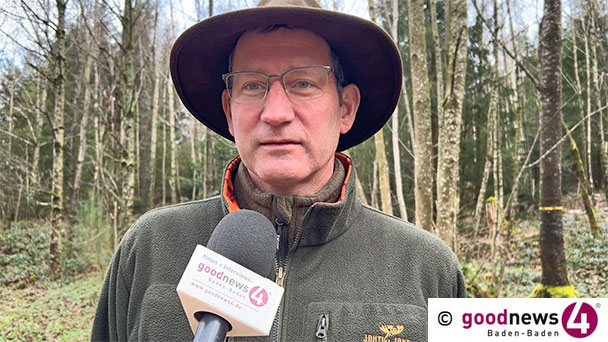 Die Katastrophe vor 25 Jahren – Baden-Badener Forstamtschef Thomas Hauck: „Hier ist fast ein Drittel des ganzen Stadtwaldes umgefallen“