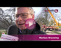 Baum-Operation in der Lichtentaler Allee | Markus Brunsing