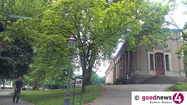 Platanen vor der Trinkhalle werden windsicher gemacht – Kaiserallee halbseitig gesperrt