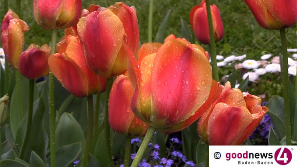Herrliche Gärten besuchen auch im Elsass – Aktion „Offene Gartentür“