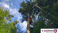 Kritischer Waldzustand im Landkreis Karlsruhe – Naturschutzbeauftragte helfen wo es geht 