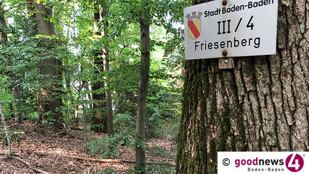 Baden-Badener Stadträte treffen sich im Wald – Gespräche zu „Dürre und Klimawandel, Verkehrssicherungspflicht, Waldpädagogik“