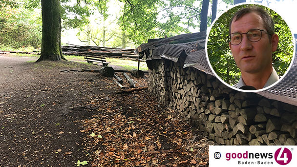 Baden-Badener Forst-Chef Thomas Hauck zum Gesundheitszustand des Stadtwaldes – Und zu dieser Frage: „Ist es denn erlaubt, einfach in den Wald zu gehen und Holz zu sammeln, das da so rumliegt?“ Baden-Badener Forst-Chef Thomas Hauck zum Gesundheitszustand des Stadtwaldes – Und zu dieser Frage: „Ist es denn erlaubt, einfach in den Wald zu gehen und Holz zu sammeln, das da so rumliegt?“