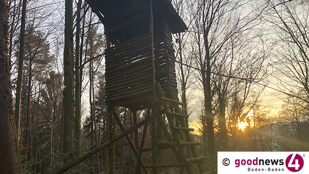 Infoveranstaltung zu Wolf und Goldschakal in Gernsbach – Badische Jäger Rastatt/Baden-Baden laden ein