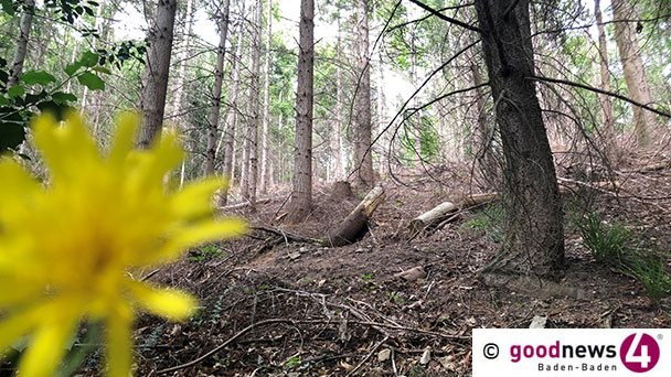 Kohleausstieg: Die Wähler müssen es richten – Gastkommentar von Franz Alt