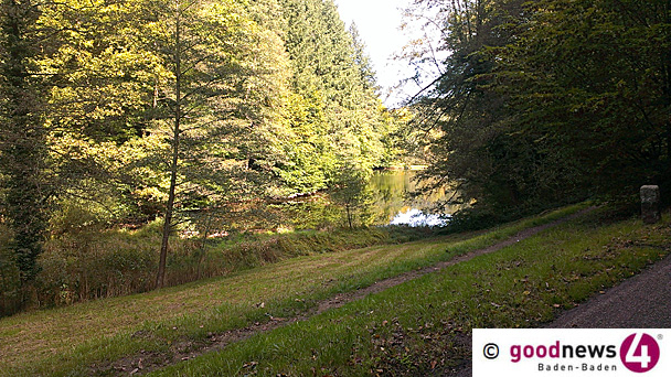 Höchstes Waldbrandrisiko auch in Baden-Baden - Grillen und Feuer im Wald verboten