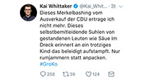„Wie Säue im Dreck“ - Baden-Badener CDU-Bundestagsabgeordnete beschimpft Merkel-Kritiker 