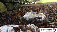 Müllkippe bei der Lichtentaler Allee – Paketeweise Zeitungen und Prospekte entsorgt